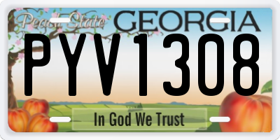 GA license plate PYV1308
