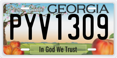 GA license plate PYV1309