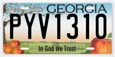 GA license plate PYV1310