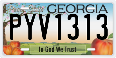 GA license plate PYV1313