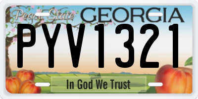 GA license plate PYV1321