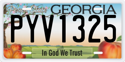 GA license plate PYV1325