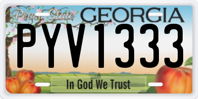 GA license plate PYV1333