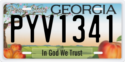 GA license plate PYV1341