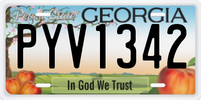 GA license plate PYV1342