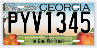 GA license plate PYV1345
