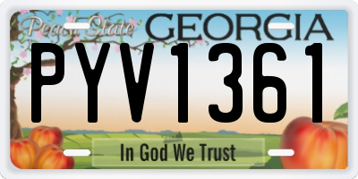 GA license plate PYV1361