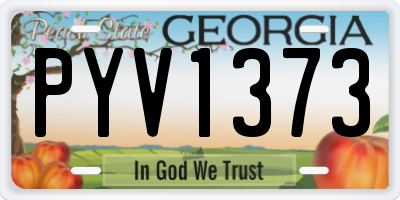 GA license plate PYV1373