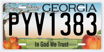 GA license plate PYV1383