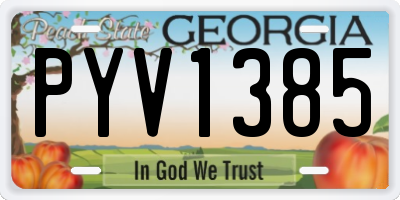 GA license plate PYV1385