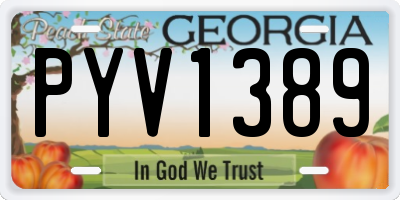GA license plate PYV1389