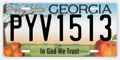 GA license plate PYV1513