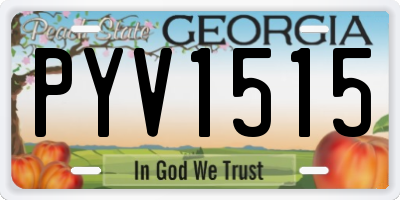 GA license plate PYV1515