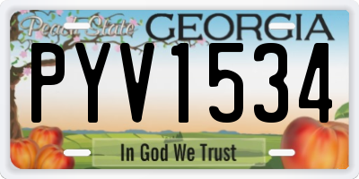 GA license plate PYV1534