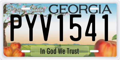 GA license plate PYV1541