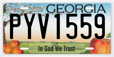 GA license plate PYV1559