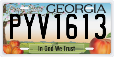 GA license plate PYV1613
