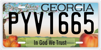GA license plate PYV1665