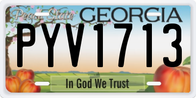 GA license plate PYV1713
