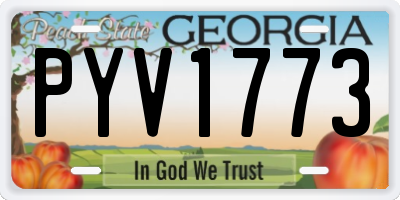GA license plate PYV1773