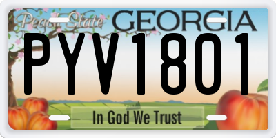 GA license plate PYV1801