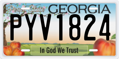 GA license plate PYV1824