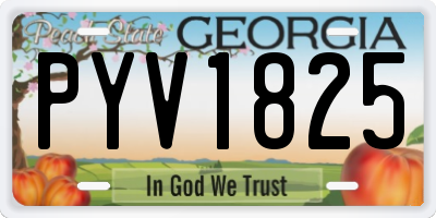 GA license plate PYV1825