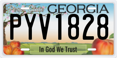 GA license plate PYV1828