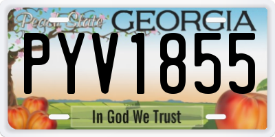 GA license plate PYV1855