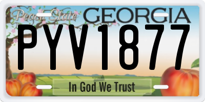 GA license plate PYV1877