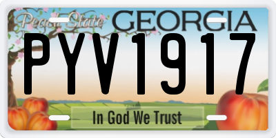 GA license plate PYV1917