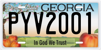 GA license plate PYV2001