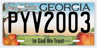 GA license plate PYV2003