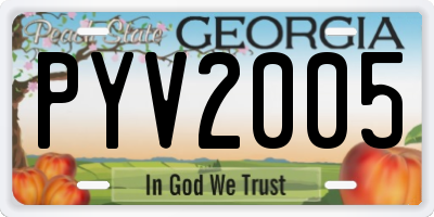 GA license plate PYV2005