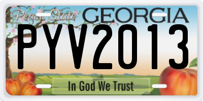 GA license plate PYV2013