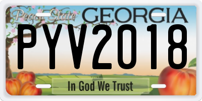 GA license plate PYV2018