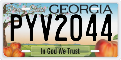 GA license plate PYV2044