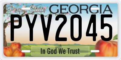 GA license plate PYV2045