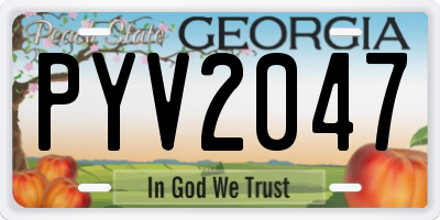 GA license plate PYV2047