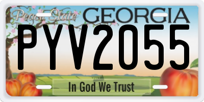 GA license plate PYV2055