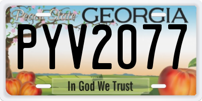 GA license plate PYV2077