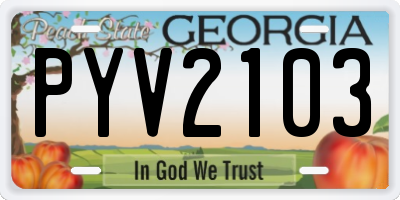 GA license plate PYV2103