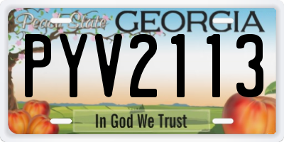GA license plate PYV2113