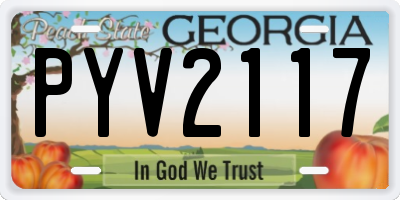 GA license plate PYV2117