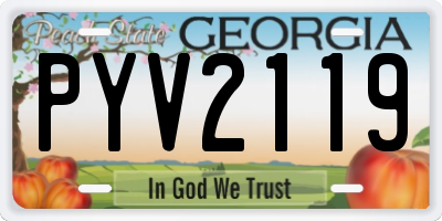 GA license plate PYV2119