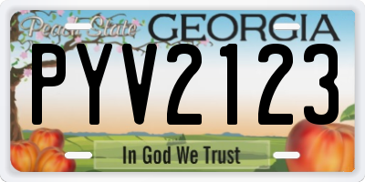 GA license plate PYV2123