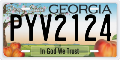 GA license plate PYV2124
