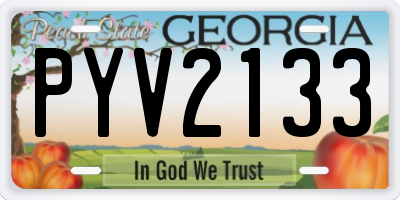 GA license plate PYV2133