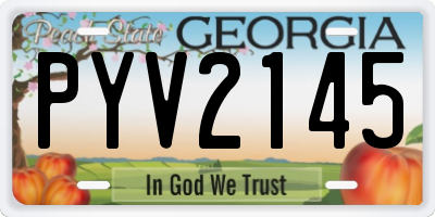 GA license plate PYV2145