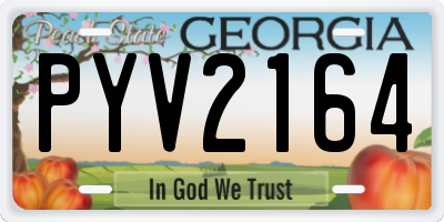 GA license plate PYV2164
